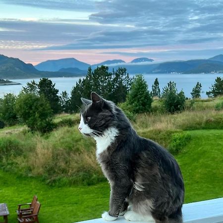 Wake Up To A Beautiful View And Smell Of The Sea Daire Kristiansund Dış mekan fotoğraf