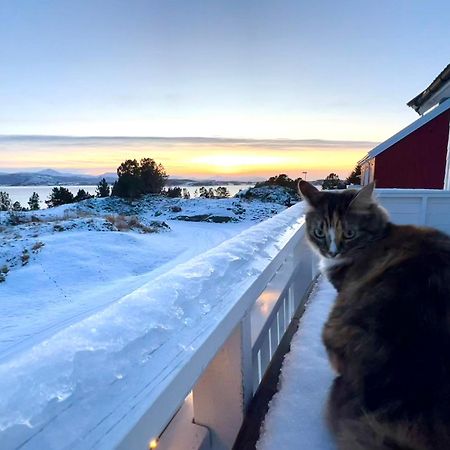 Wake Up To A Beautiful View And Smell Of The Sea Daire Kristiansund Dış mekan fotoğraf