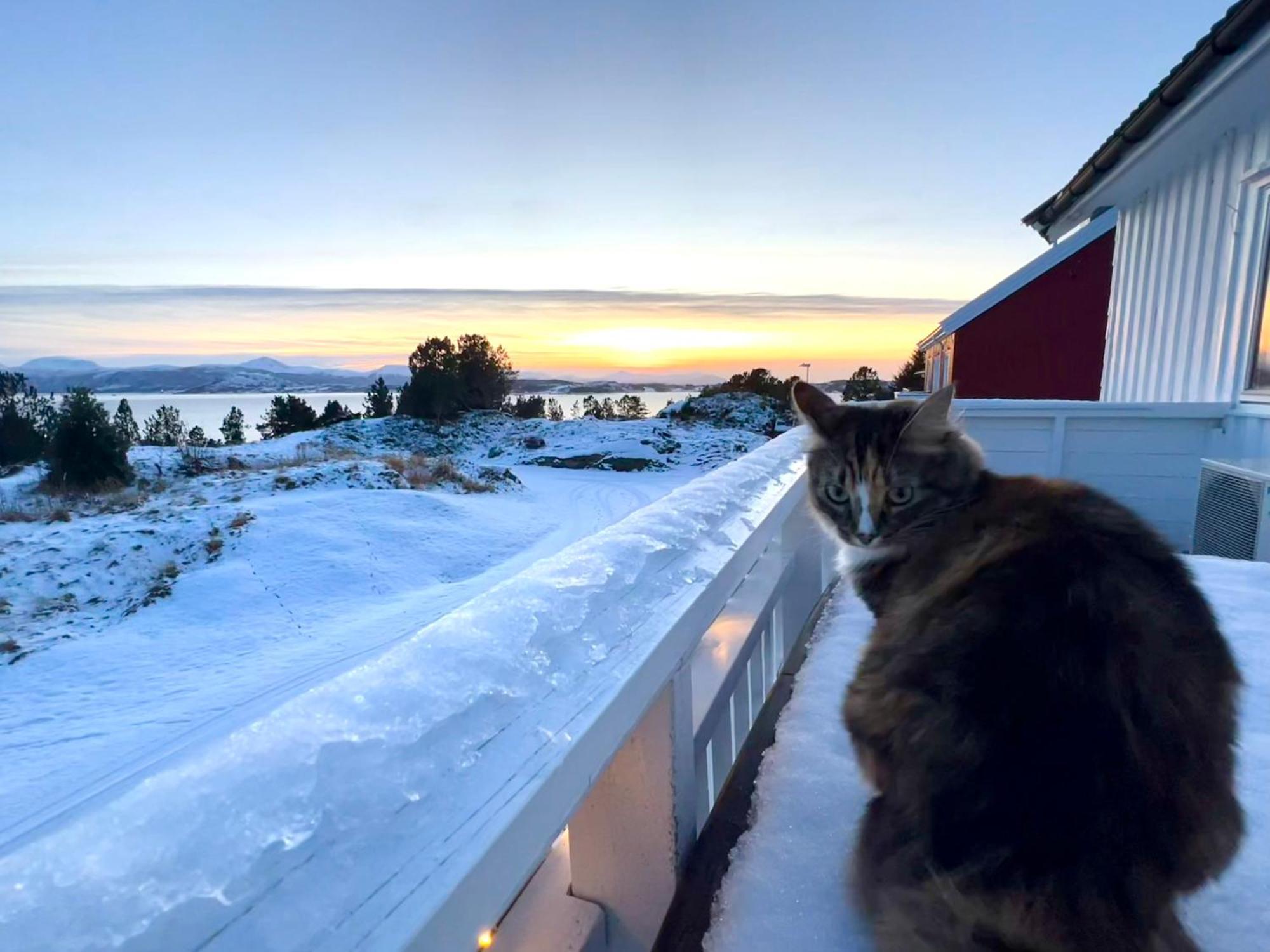 Wake Up To A Beautiful View And Smell Of The Sea Daire Kristiansund Dış mekan fotoğraf