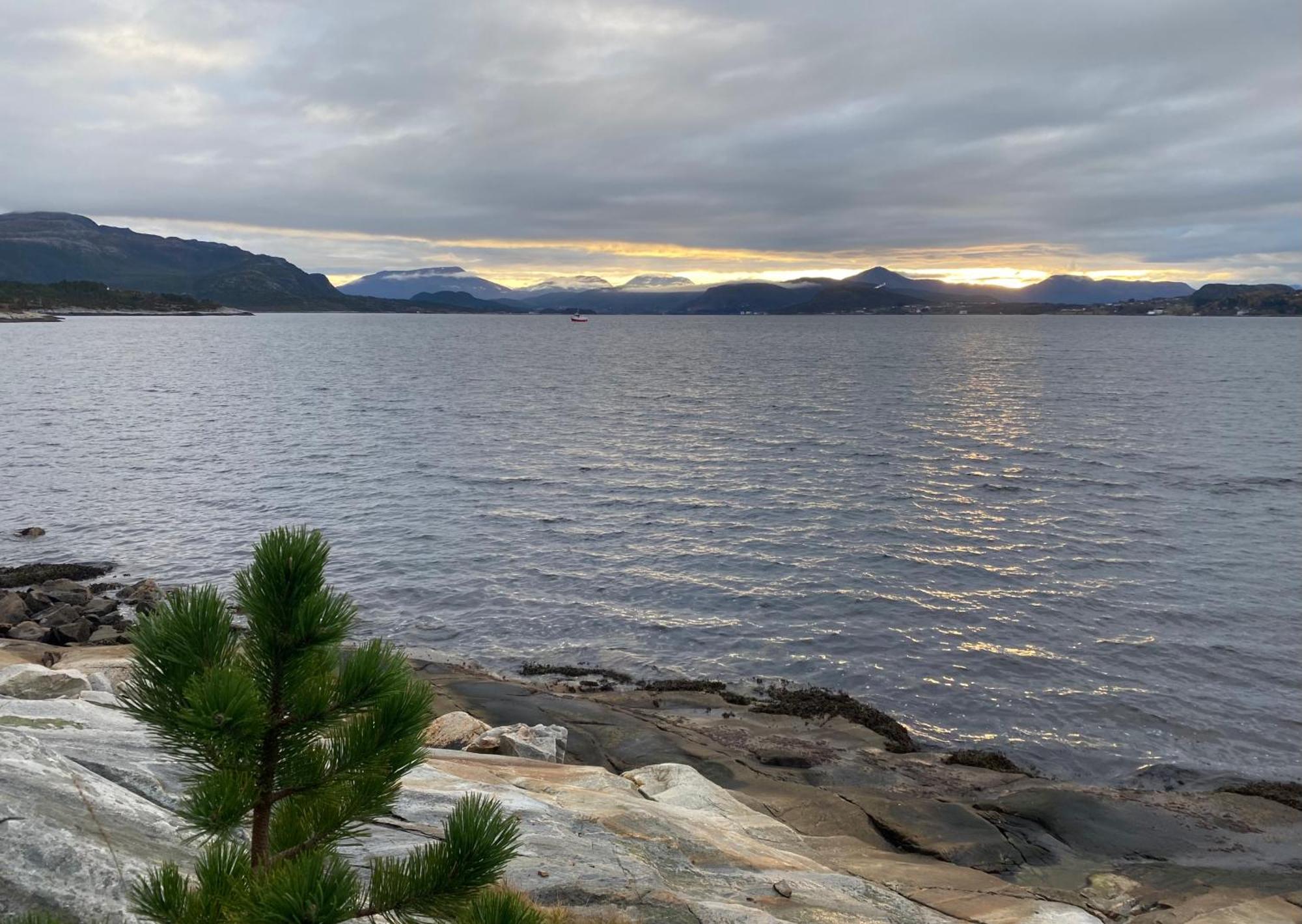 Wake Up To A Beautiful View And Smell Of The Sea Daire Kristiansund Dış mekan fotoğraf